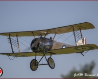 TSR Watermark - 0365